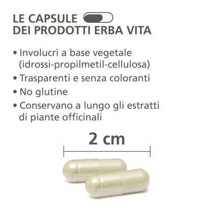 ERBA VITA Integratore Alimentare di Spaccapietra, 60 Capsule, per la funzionalità delle vie urinarie, 60 unità, 1