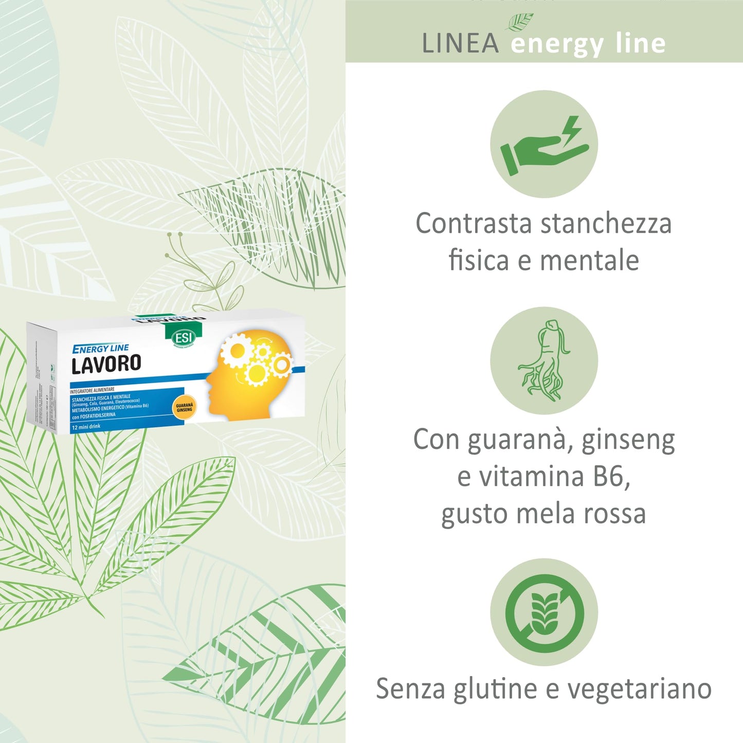 ESI - Energy Line Studio