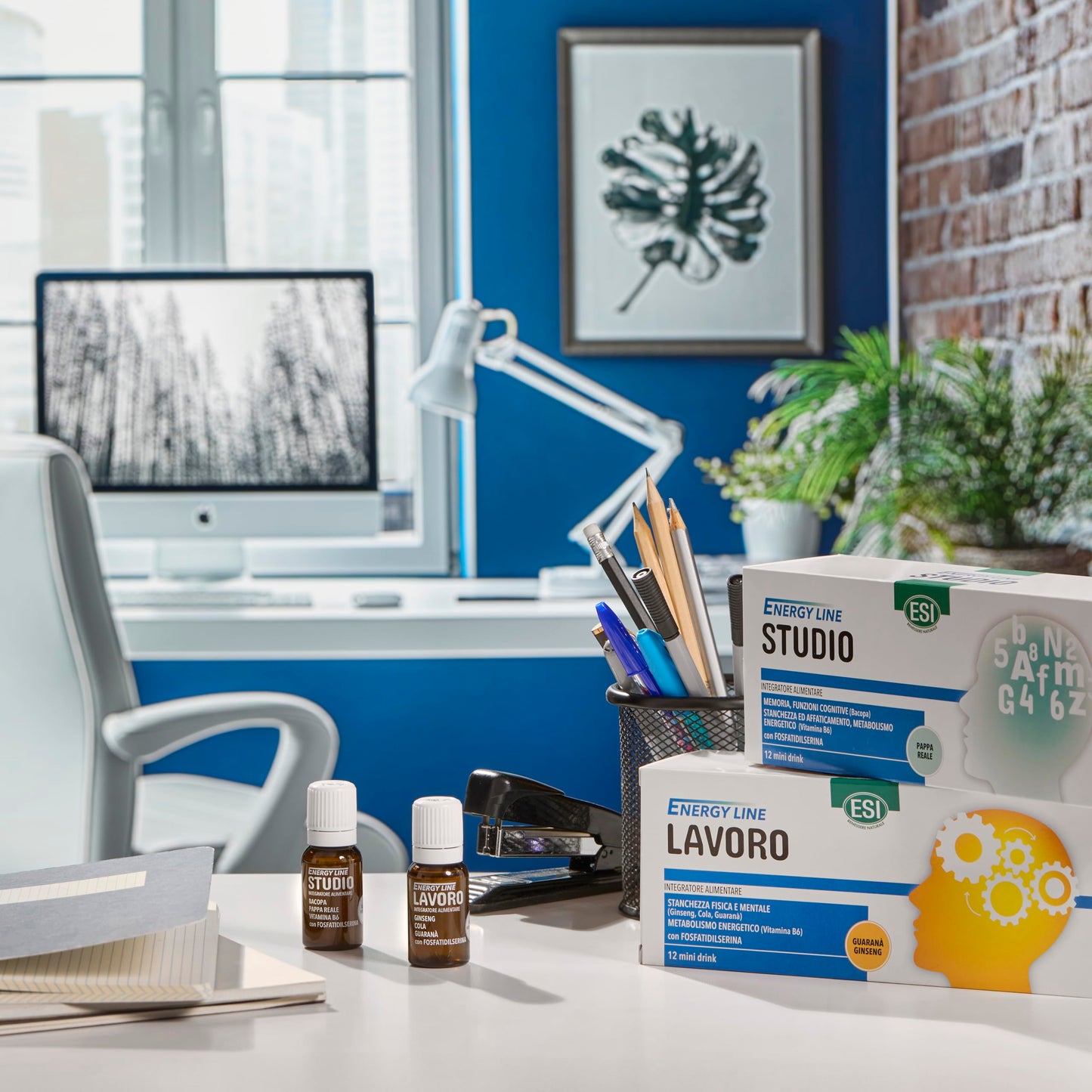 ESI - Energy Line Studio