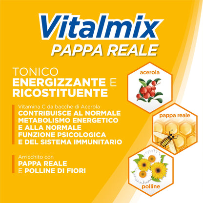 VITALMIX MONTEFARMACO Pappa Reale, Integratore Alimentare Tonico Energizzante e Rivitalizzante - Stanchezza Fisica e Sistema Immunitario - 10 Flaconcini, Senza Lattosio e Senza Glutine (Gusto Miele)