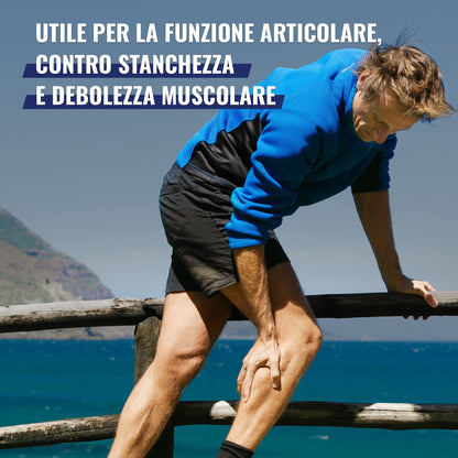 Meritene Mobilis Integratore Articolazioni | Tripla Azione | Collagene Idrolizzato, Vitamine e Proteine | Integratore Muscoli, Ossa e Articolazioni | Confezione da 210 g (10 Bustine X 21 g)